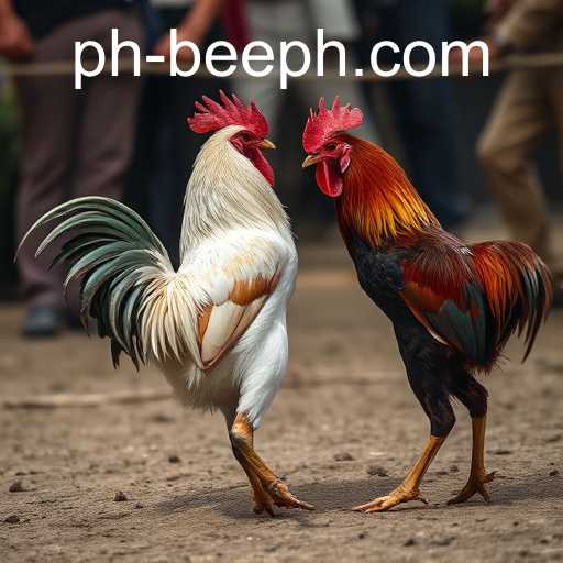 Cockfighting